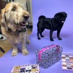 پالت سایه چشم رولوشن مدل Revo Pooches - Image 4