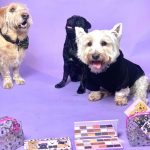 پالت سایه چشم رولوشن مدل Revo Pooches - Image 5