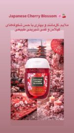 ژل دست ضدعفونی کننده بث اند بادی ورکز  Bath & Body Works PocketBac Hand Sanitizers - Image 3