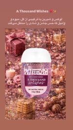 ژل دست ضدعفونی کننده بث اند بادی ورکز  Bath & Body Works PocketBac Hand Sanitizers - Image 6